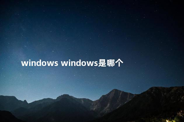windows windows是哪个公司开发的